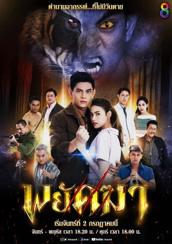 Xem Phim Người Hổ Vietsub HD Online